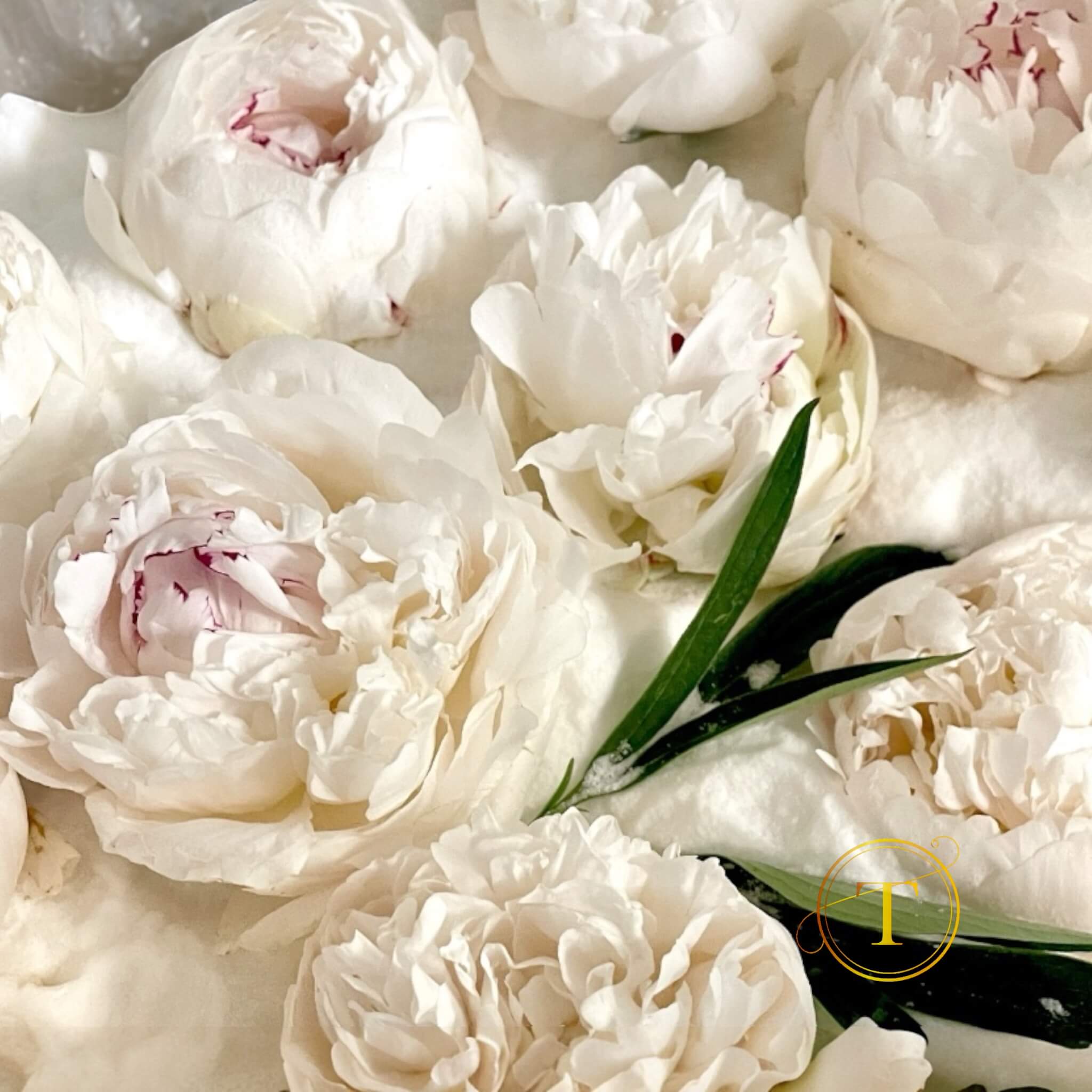 Flower drying service in silica gel demonstration