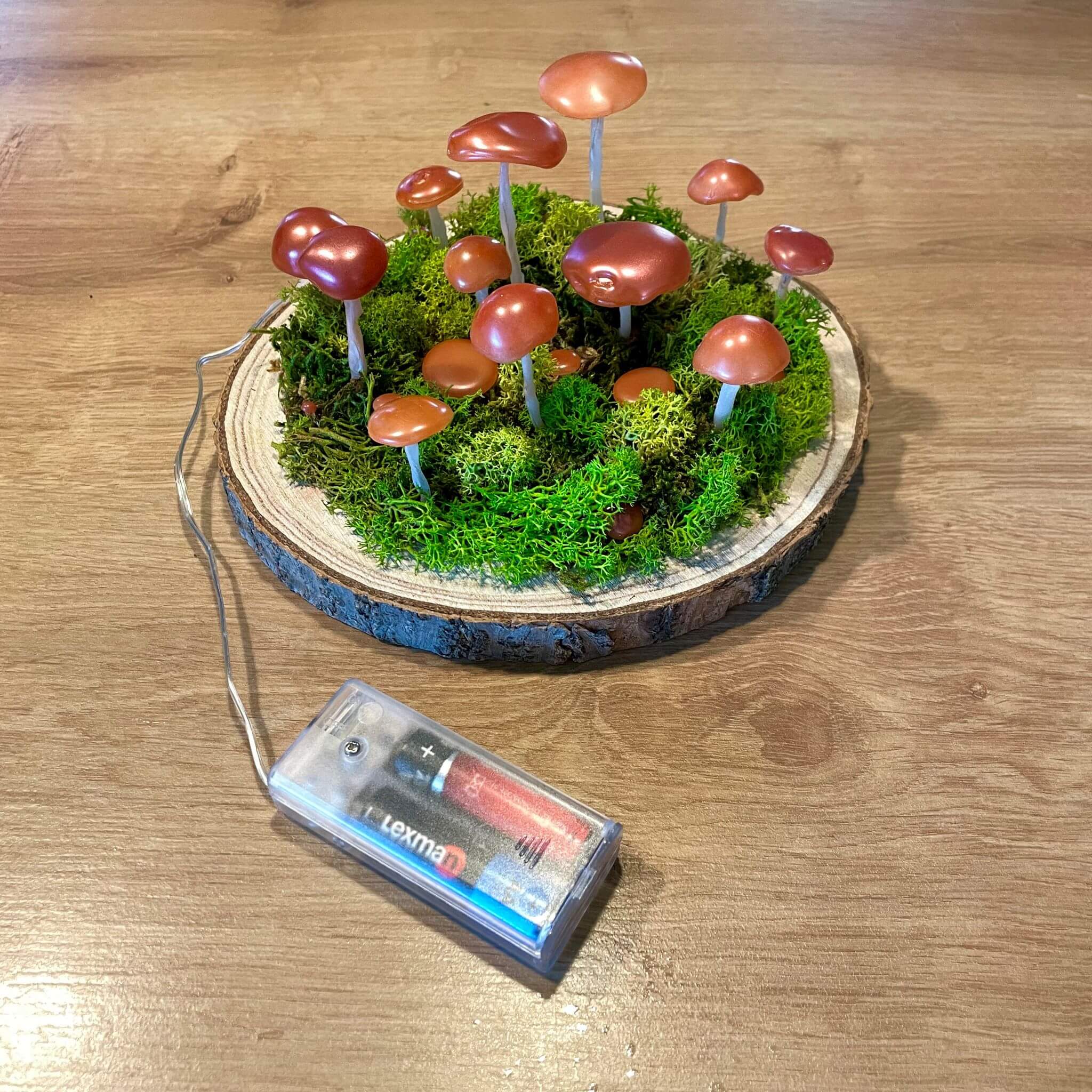 Mystical Mushroom – lampa LED de veghe cu ciuperci pe baza din lemn