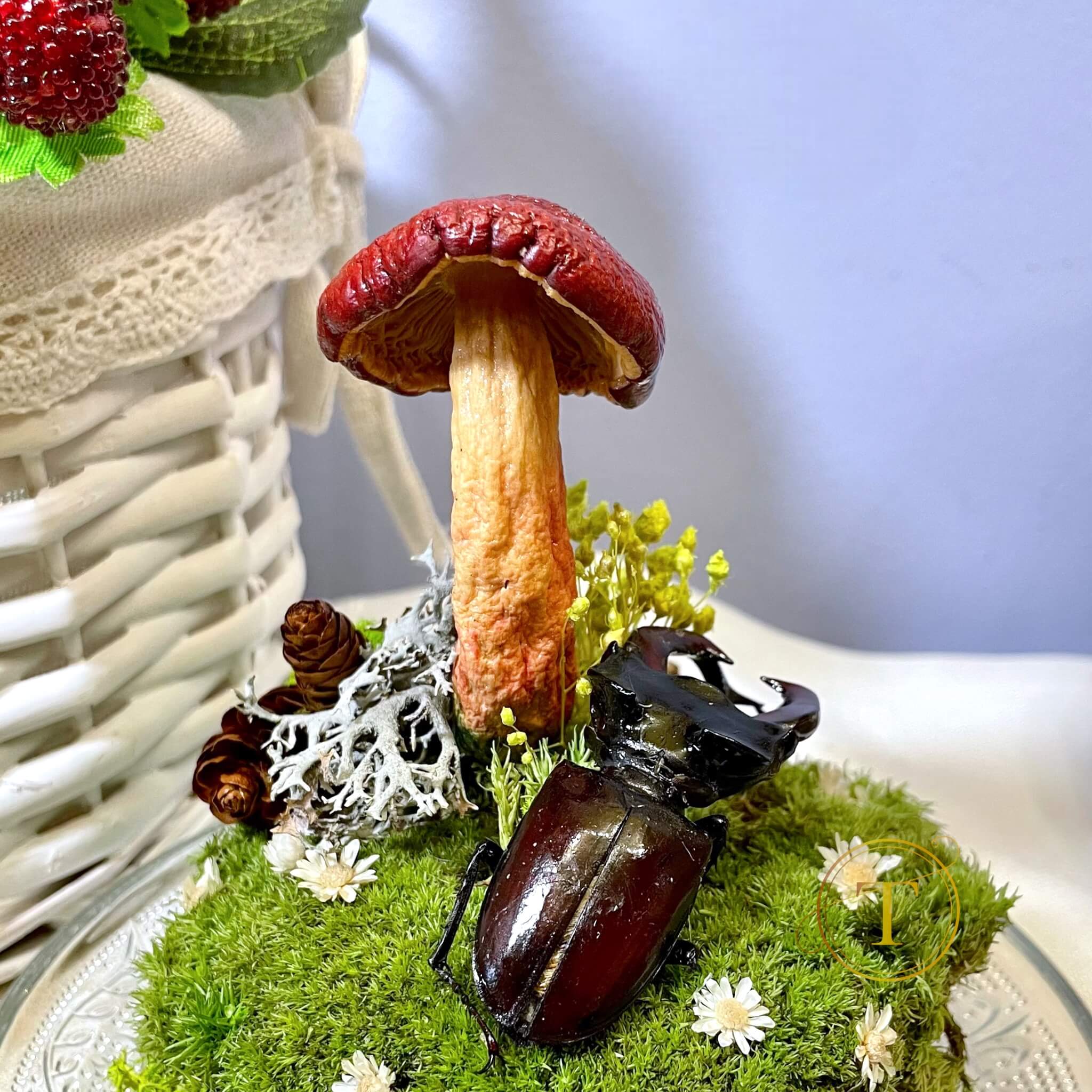 Woodland Relic 2 – terariu cu gandac cerb si ciuperca rosie, sub cupola