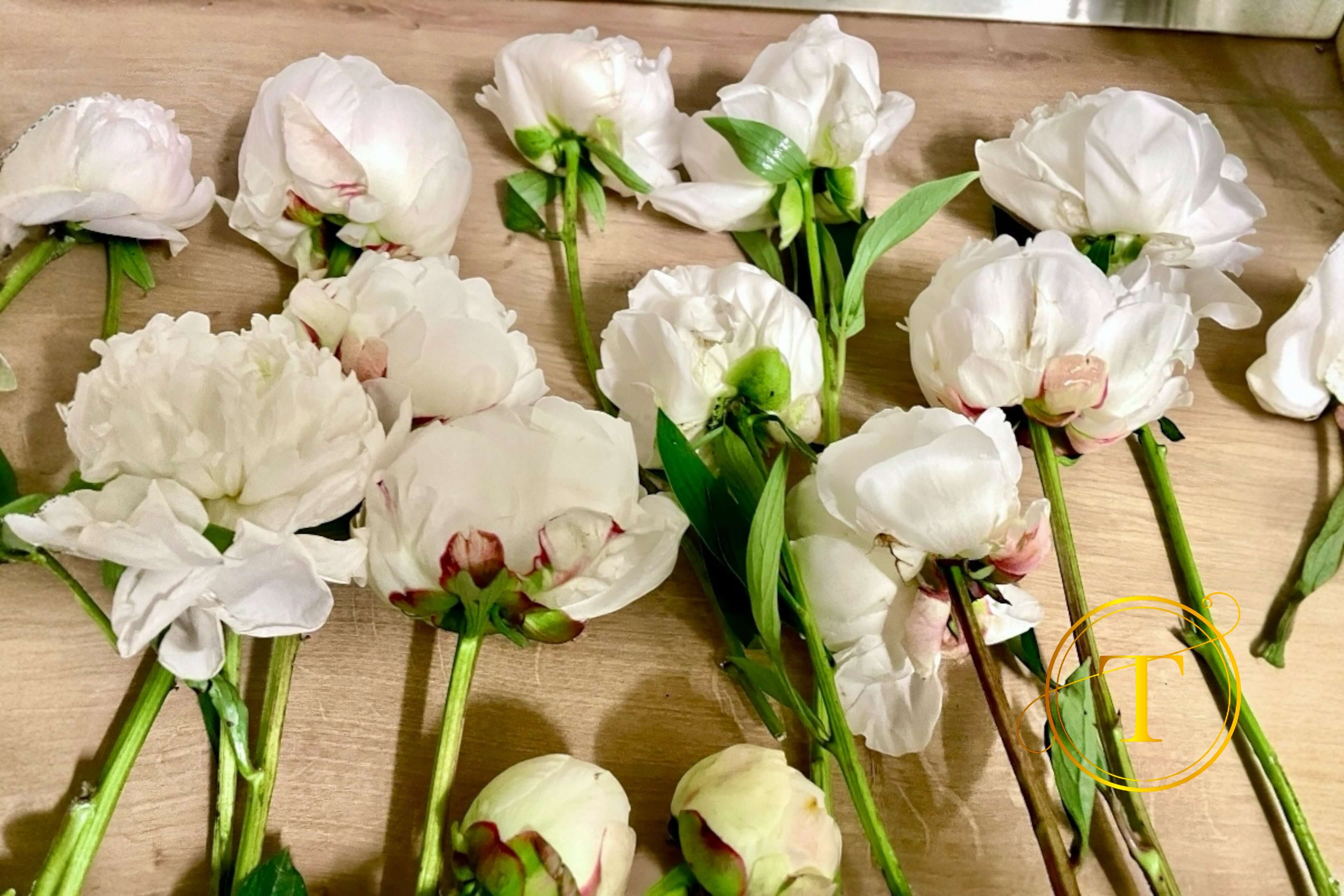 Conservare Buchet Mireasa | 5 Metode de Pastrare a Florilor