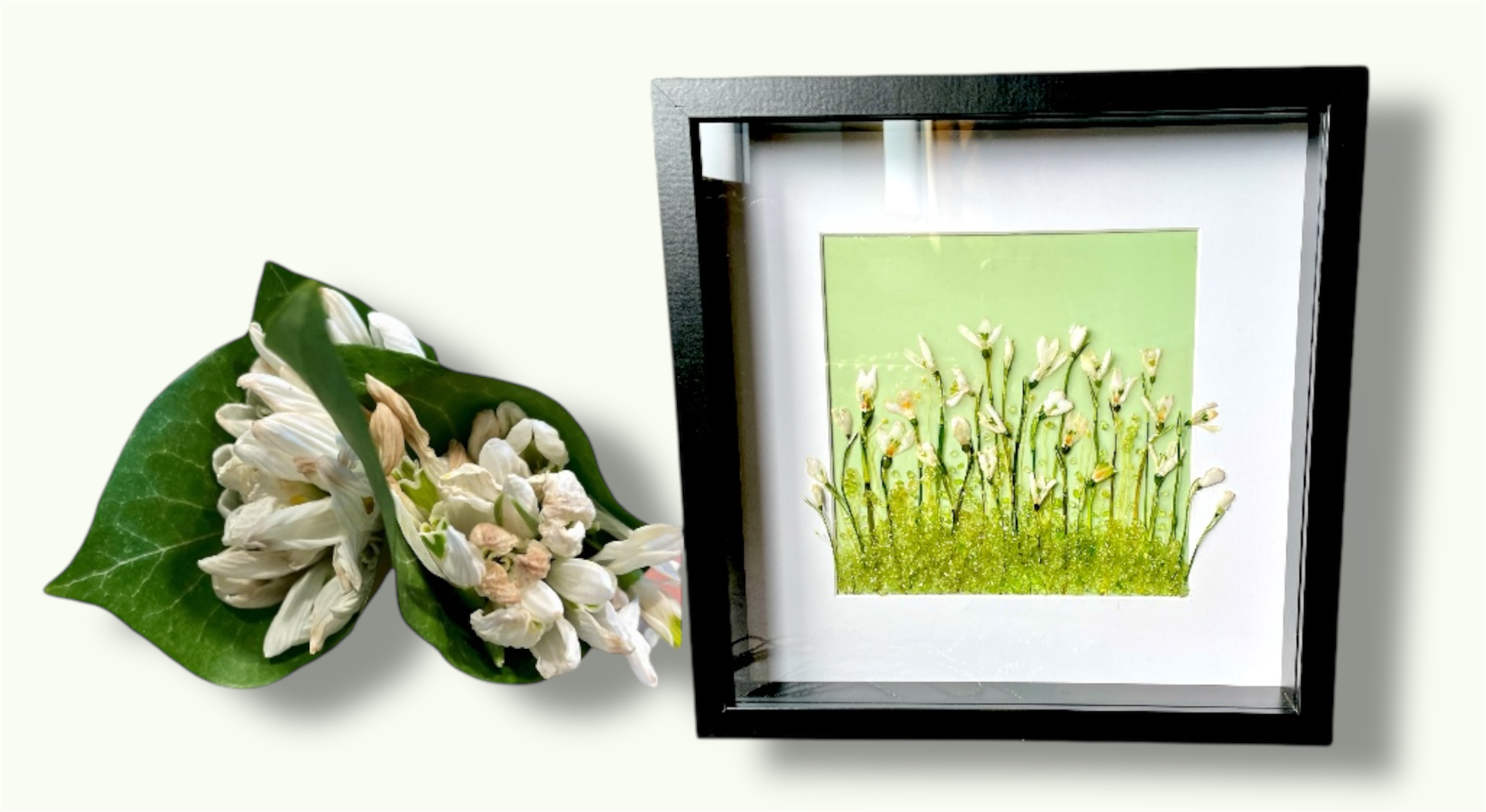 Transformation collage - dried snowdrops restored and turned into a custom shadowbox