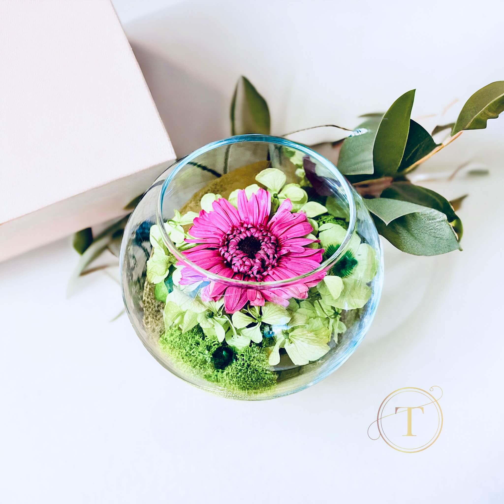 Infinite Daisy - Gerbera & Hydrangea Glass Bowl Floral Arrangement, Ø12cm