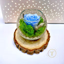 Forever Light Blue Rose & Lichen in Glass Bowl Preserved Arrangement, Ø12cm