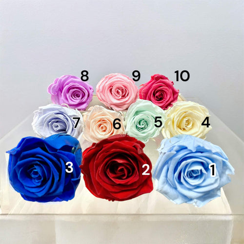 Garden of the Shire – tablou 3D cu muschi si trandafir, inspirat de Tolkien (18 x 23 cm)