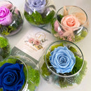 Spectrum forever roses collection