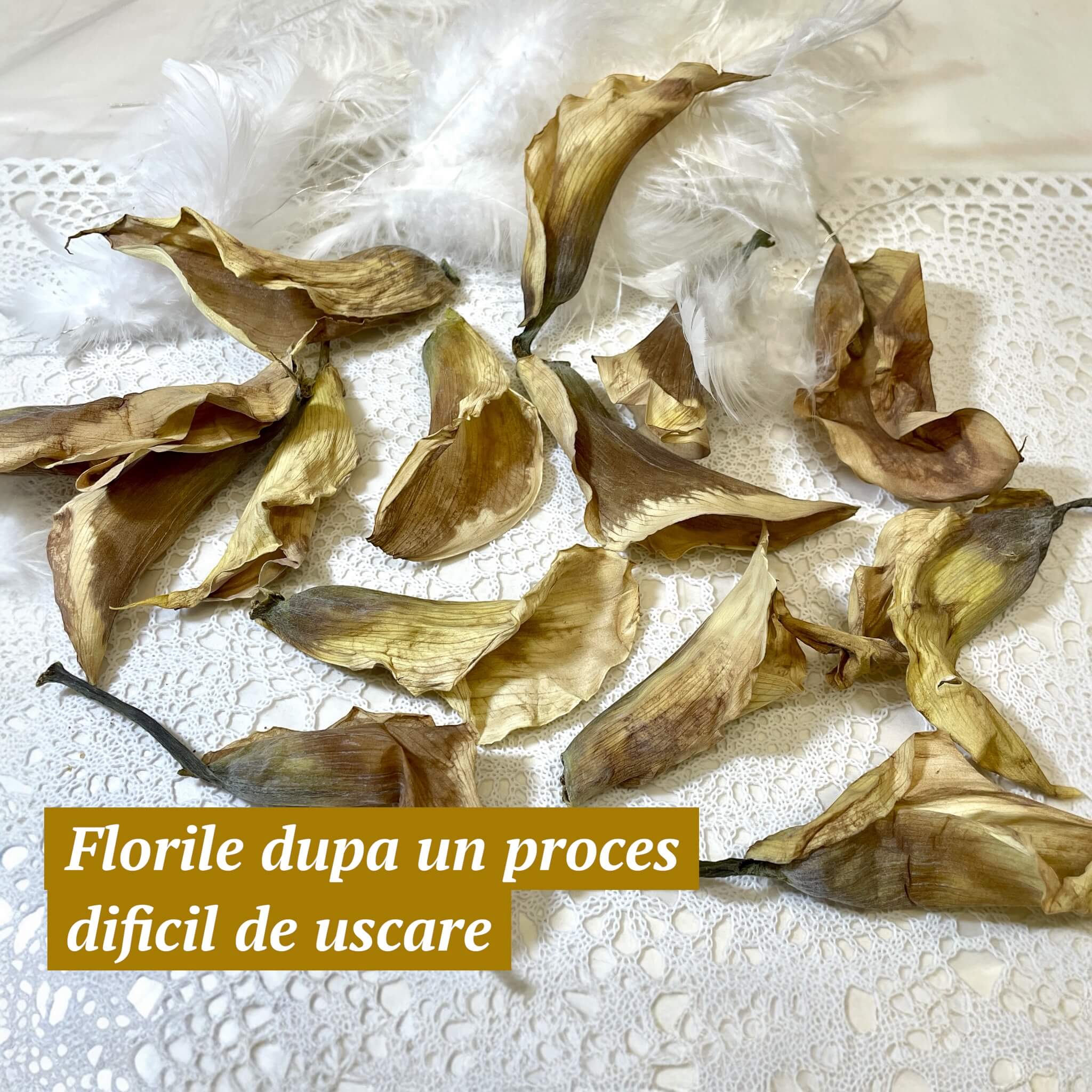 Buchet mireasa cu calele restaurat artistic in rasina | Tablou 3D cu LED