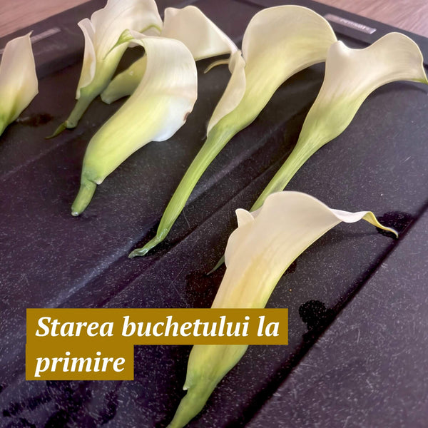 Buchet mireasa cu calele restaurat artistic in rasina | Tablou 3D cu LED