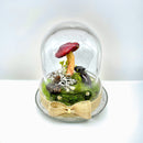 Woodland Relic 2: Real Stag Beetle & Red Mushroom Terrarium