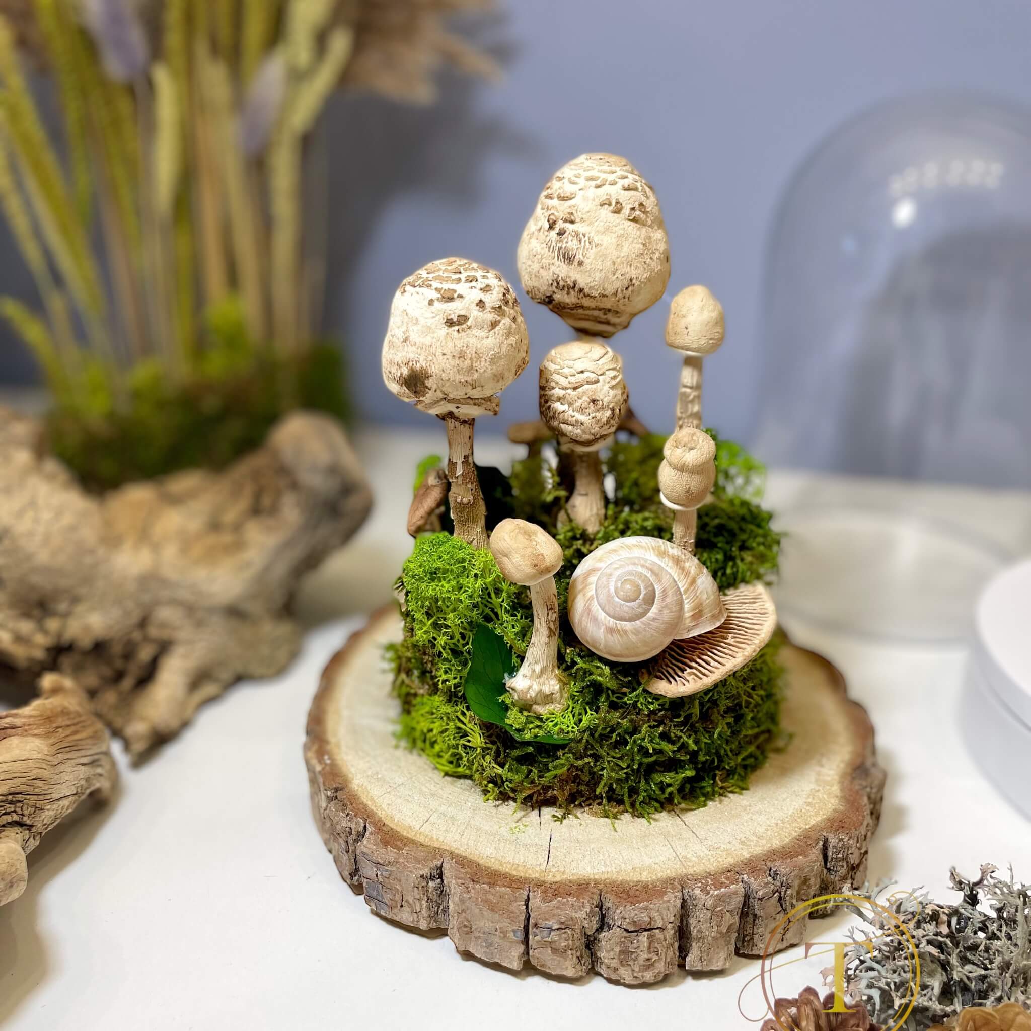 Fungus Family: Real Dried Mushrooms Zero-maintenance Terrarium