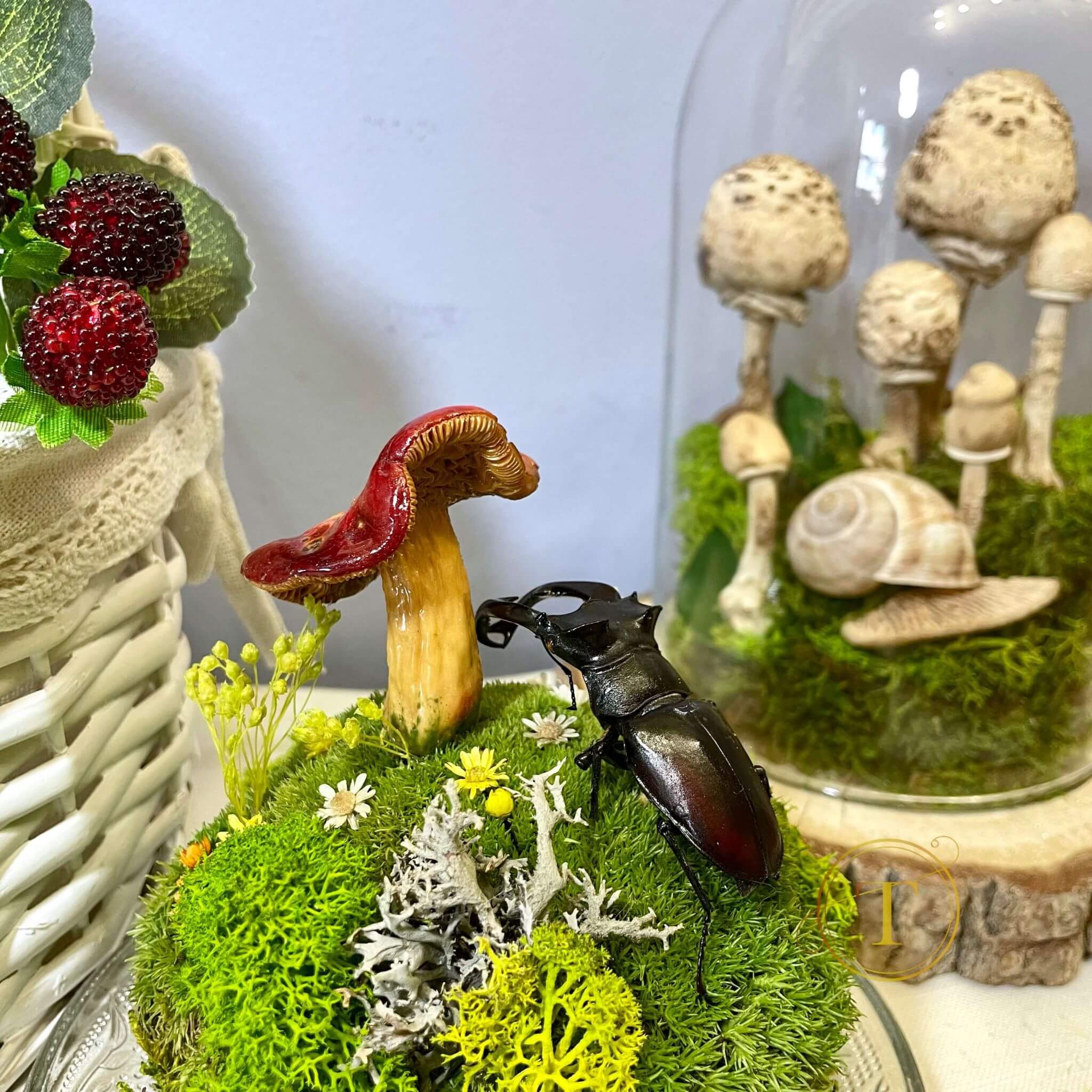 Woodland Relic: Real Stag Beetle and Red Mushroom Preserved Terrarium