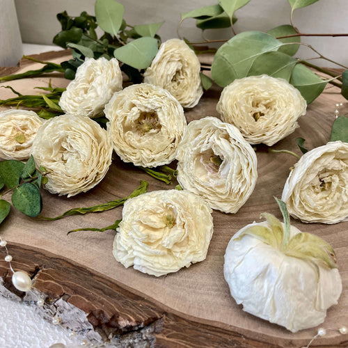 White flowers and green leaves on a wooden surface