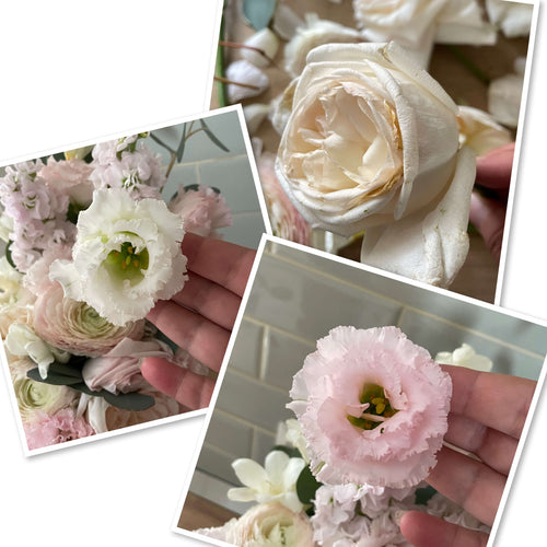 Fresh roses, lisianthus and freesia flowers before pressing and drying.