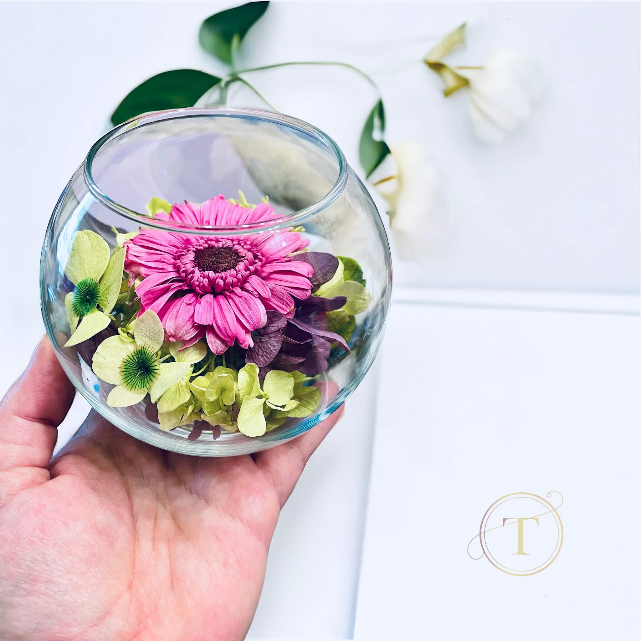 Infinite Daisy - Gerbera & Hydrangea Glass Bowl Floral Arrangement, Ø12cm