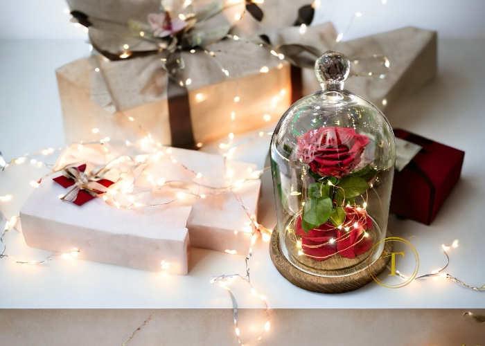 Gift Red Rose in Glass Dome