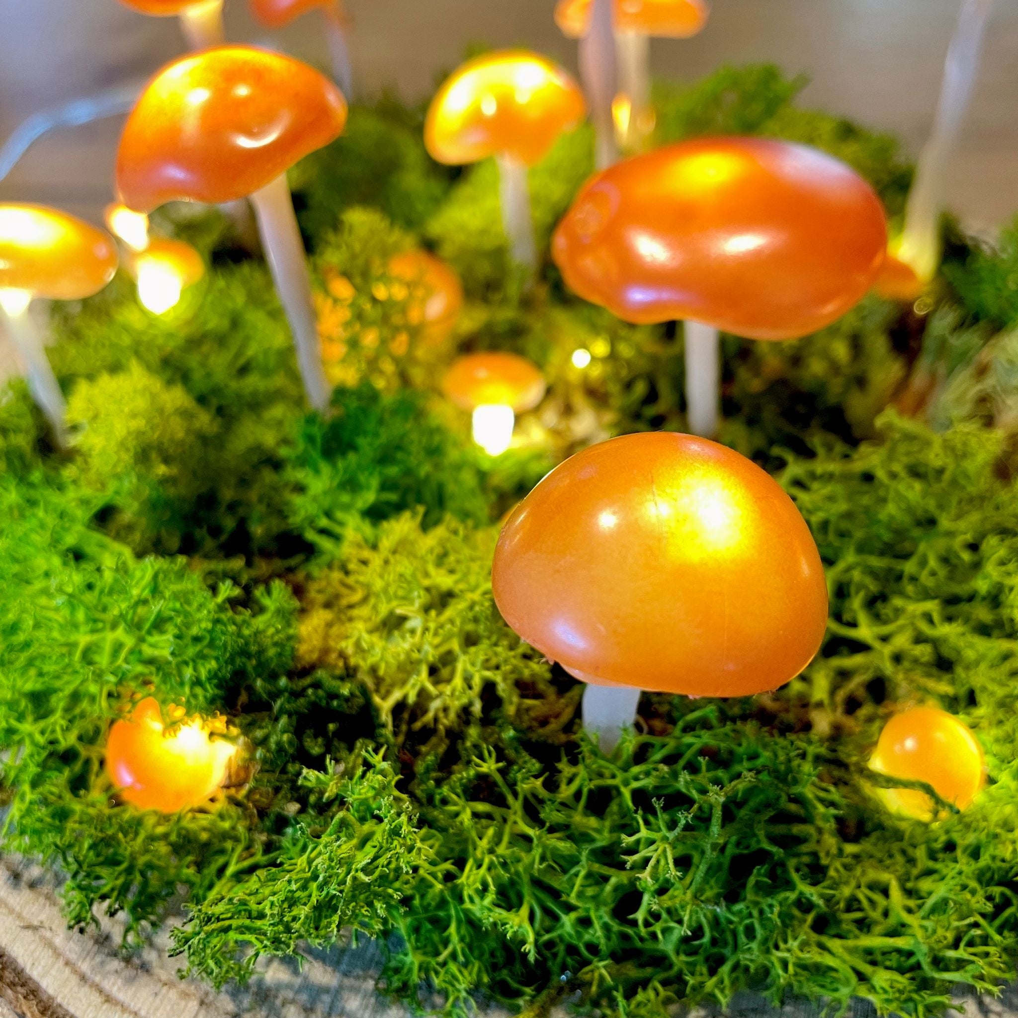 Mystical Mushroom - LED Night Light Lamp | Yellow-orange Glow