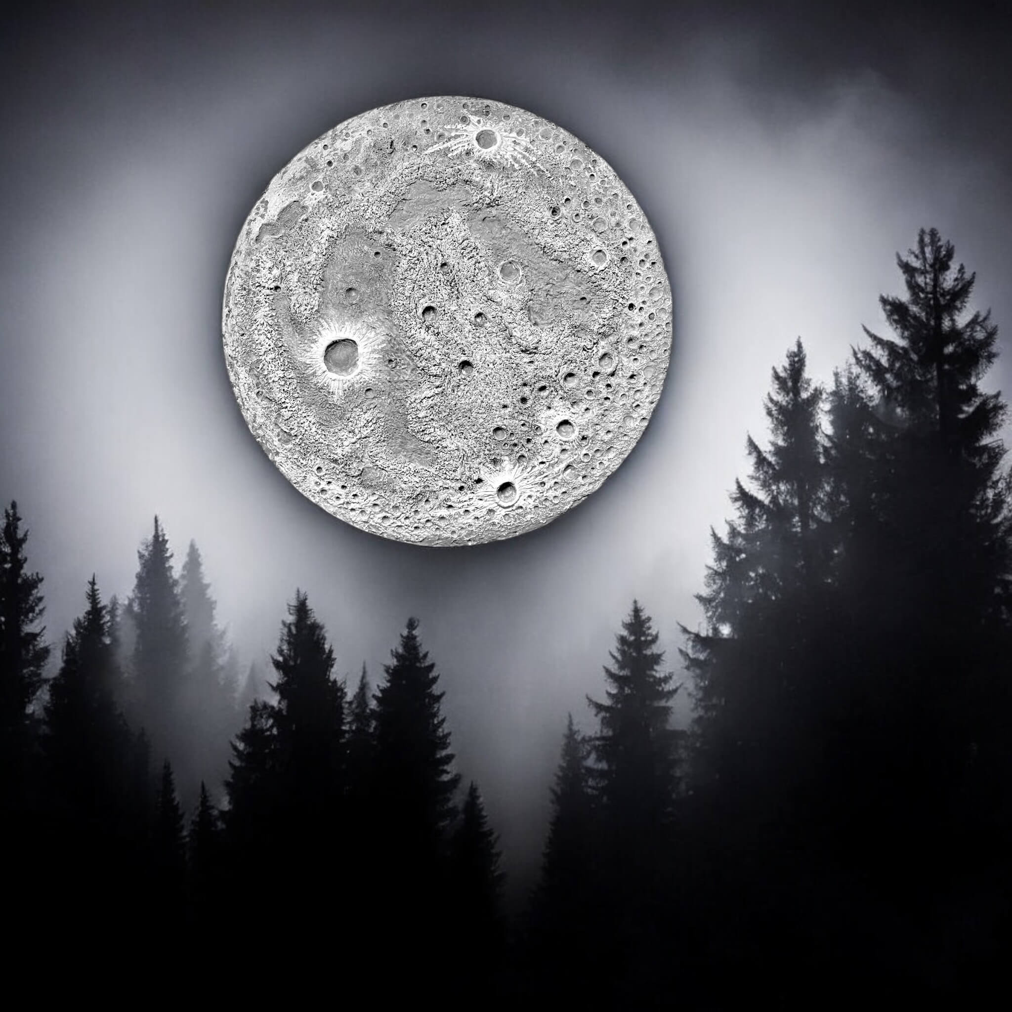 Moon wall art above dark forest