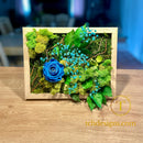 Preserved rose and moss art frame