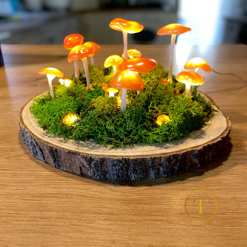 Mystical Mushroom – lampa LED de veghe cu ciuperci pe baza din lemn