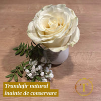 Aranjament cu trandafir conservat 3D in vaza din ceramica | Amintire pretioasa