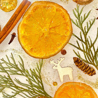 Orange slices close view