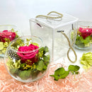 Pink rose Women's day gifts