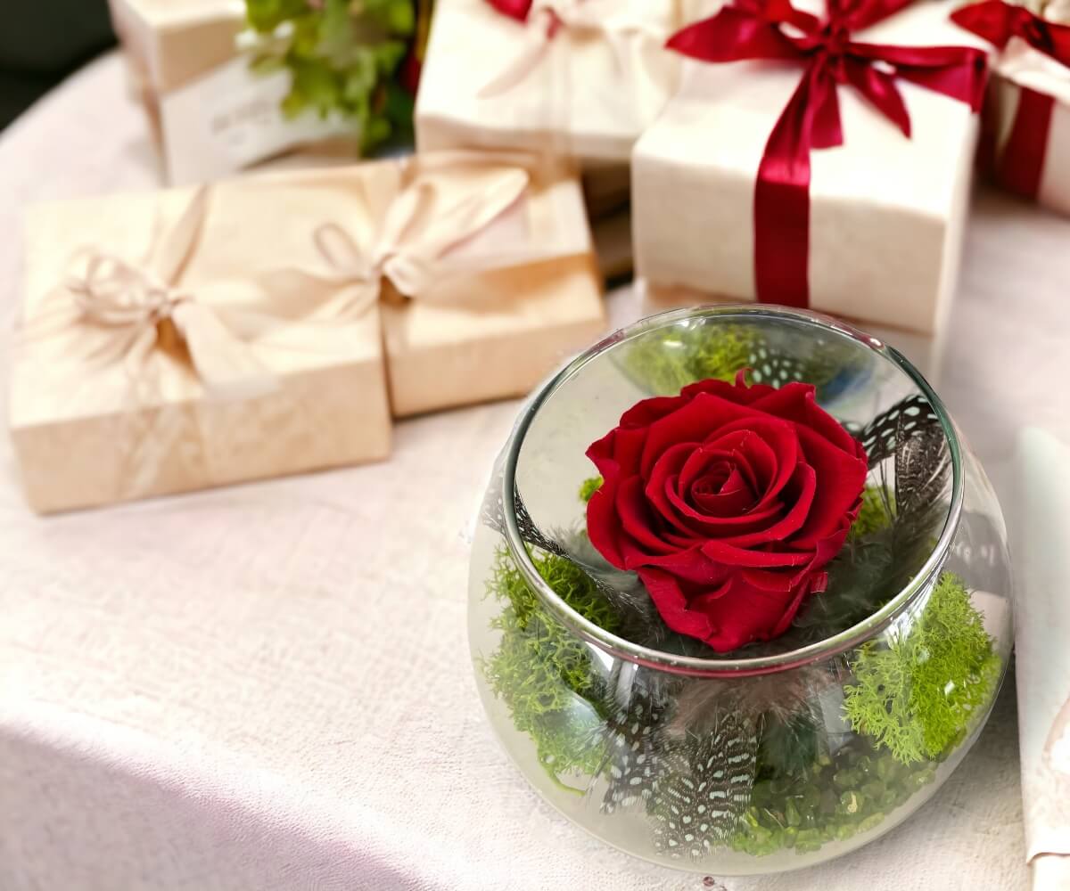 Preserved red rose in a glass globe with green lichen and feathers at the table surrounded by gift boxes