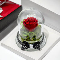 Red preserved rose in glass dome on the white table