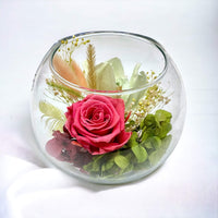 Pretty - Preserved Rose & Green Orchid in Glass Bowl, Ø14cm