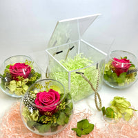 Spring rose gift box for International Women's day