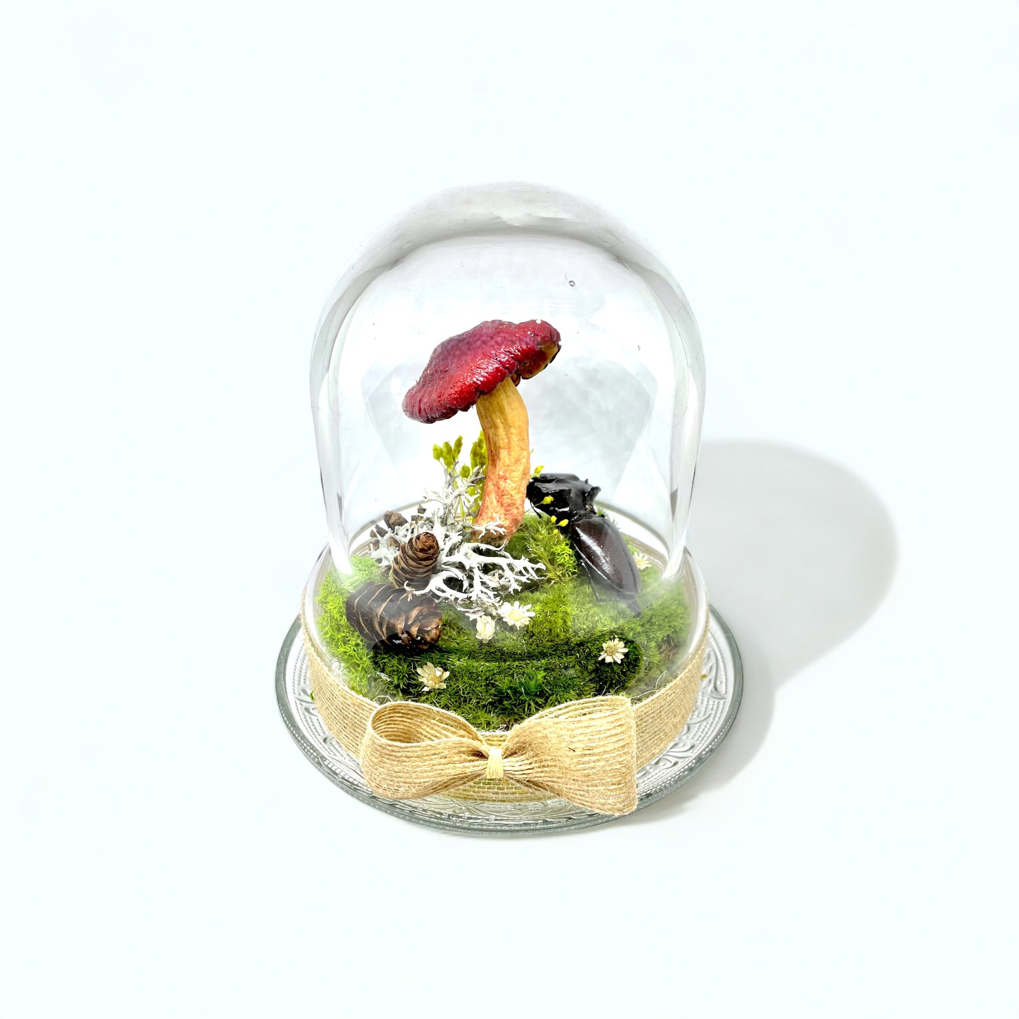 Woodland Relic 2: Real Stag Beetle & Red Mushroom Terrarium