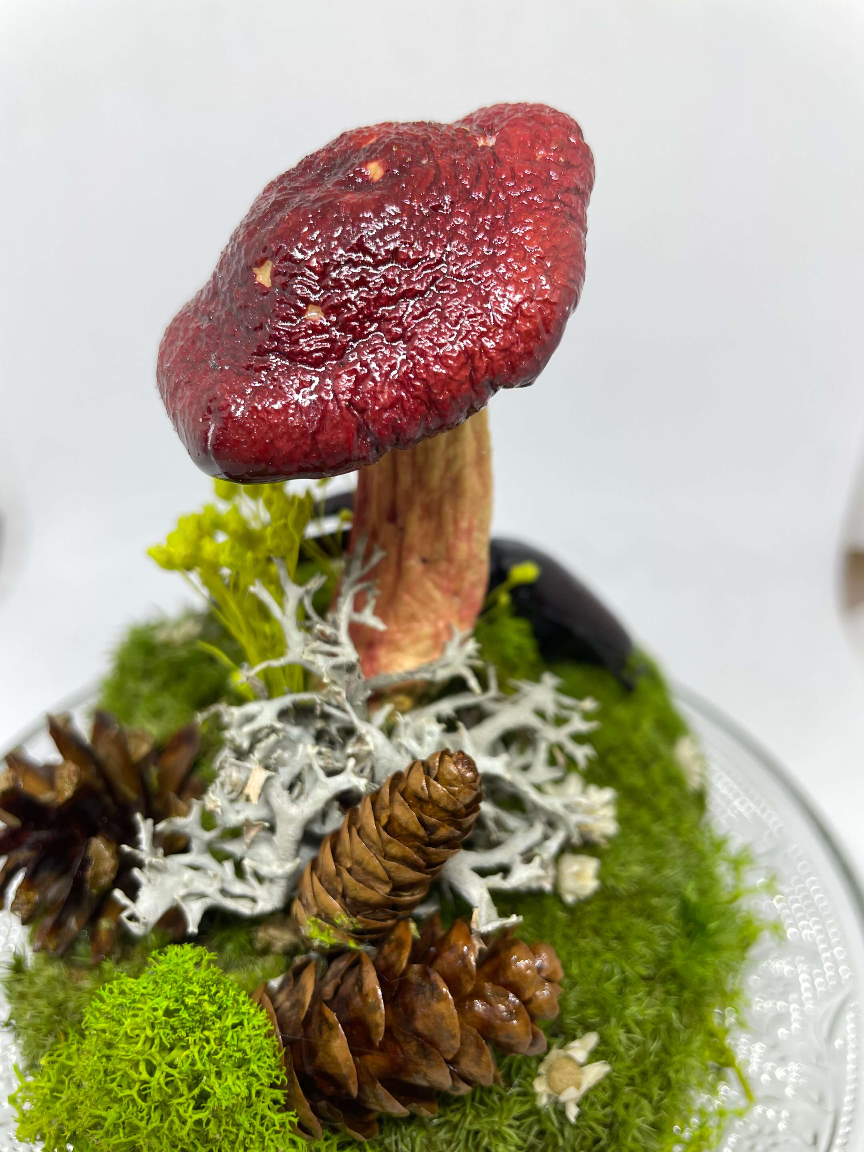 Woodland Relic 2: Real Stag Beetle & Red Mushroom Terrarium