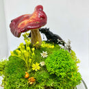 Woodland Relic: Real Stag Beetle and Red Mushroom Preserved Terrarium