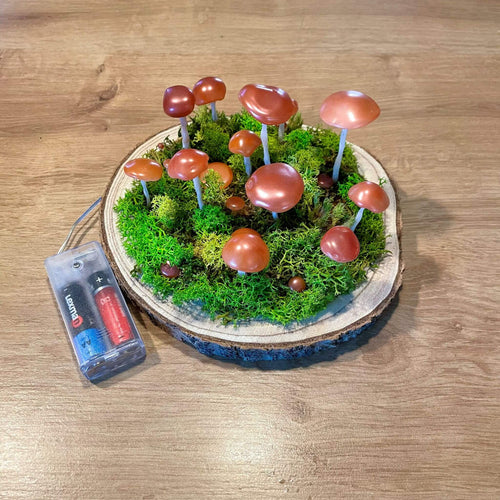 Mystical Mushroom – lampa LED de veghe cu ciuperci pe baza din lemn