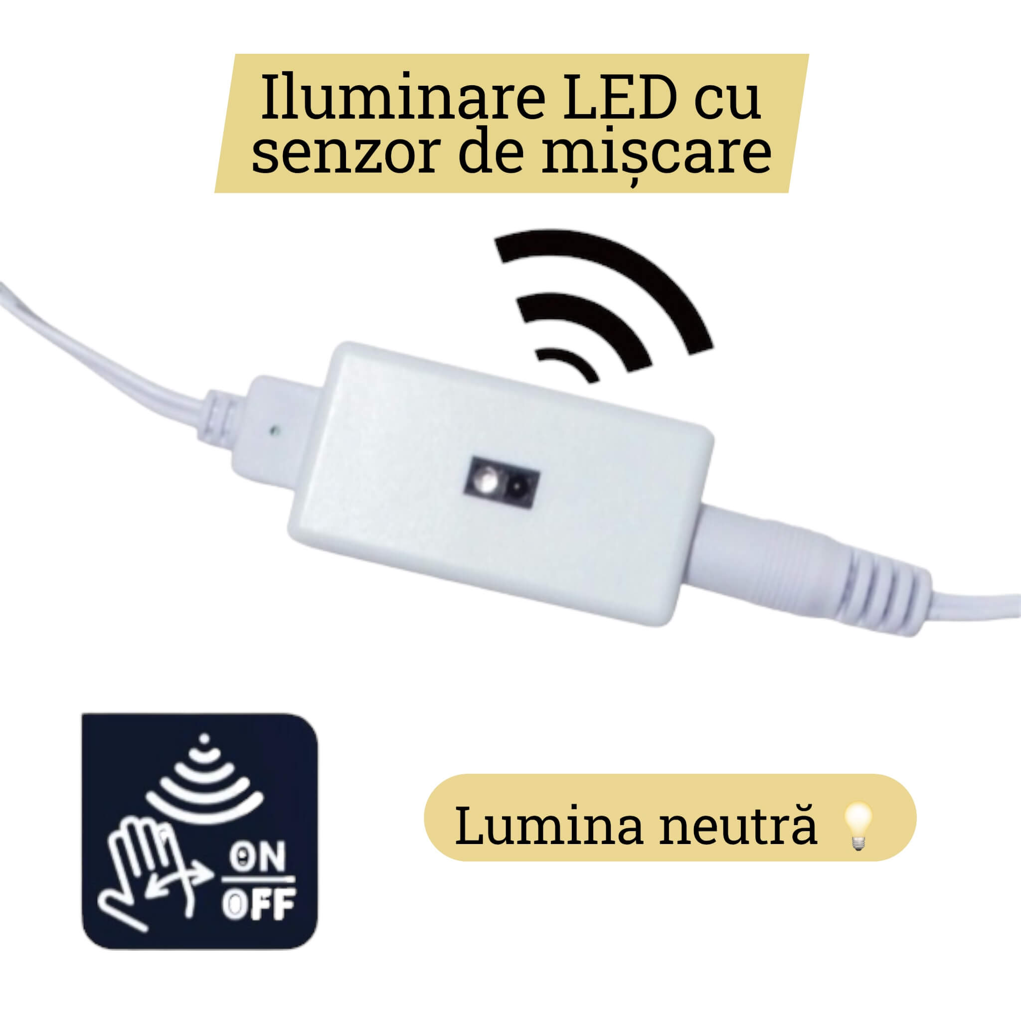 Buchet mireasa calele si pene conservat 3D in rasina | Optiune LED disponibila | Tablou 32×32cm