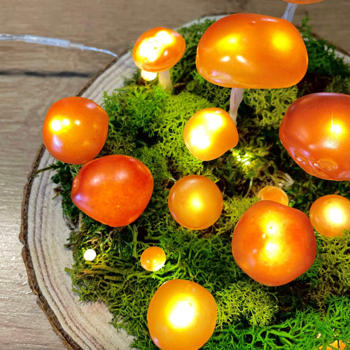 Mystical Mushroom – lampa LED de veghe cu ciuperci pe baza din lemn
