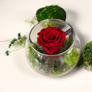 Single red roze glass bowl arrangement 