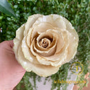 Aranjament cu trandafir conservat 3D in vaza din ceramica | Amintire pretioasa