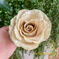 Aranjament cu trandafir conservat 3D in vaza din ceramica | Amintire pretioasa