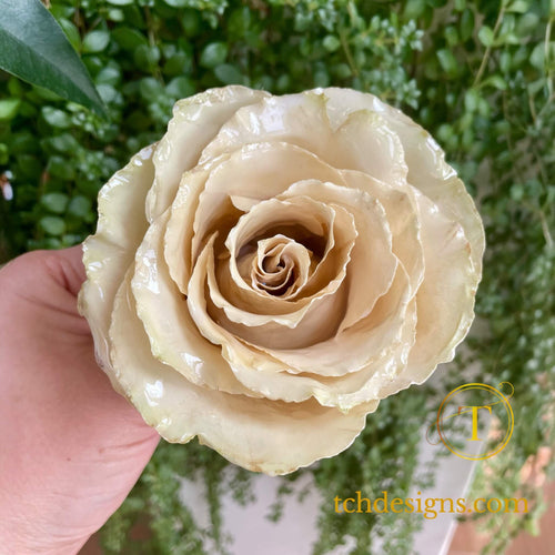 Aranjament cu trandafir conservat 3D in vaza din ceramica | Amintire pretioasa