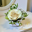 Aranjament cu trandafir conservat 3D in vaza din ceramica | Amintire pretioasa