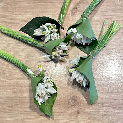 Buchet mini cu ghiocei naturali conservati in rasina | Amintire pretioasa