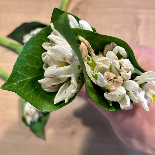 Buchet mini cu ghiocei naturali conservati in rasina | Amintire pretioasa