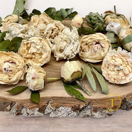 Peonies from wedding bouquet after drying 
