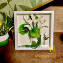 Buchet mireasa cu calele si anturium conservat 3D in rasină | Tablou 3D, 32×32cm