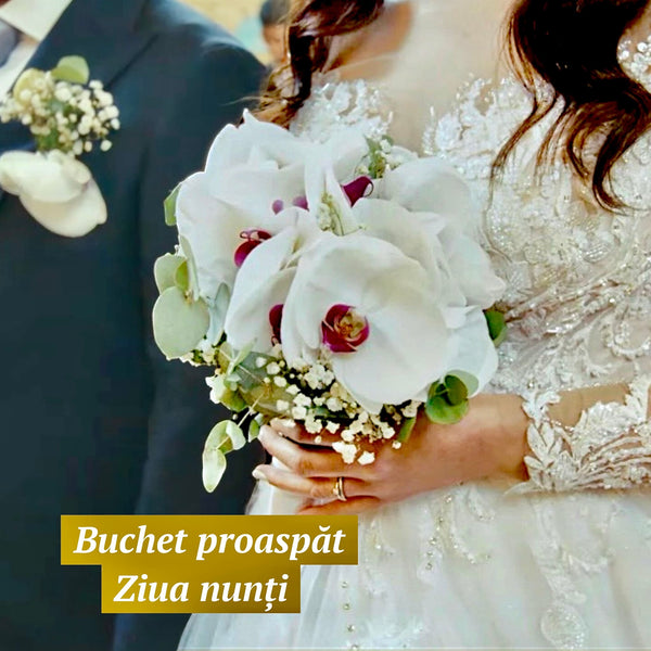 Buchet de mireasa proaspat cu orhidee Phalaenopsis albe, gypsophila si eucalipt in ziua nuntii