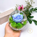 Forever Light Blue Rose & Lichen in Glass Bowl Preserved Arrangement, Ø12cm