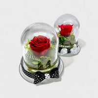 Two preserved roses in glass dome with black and white ribbons 